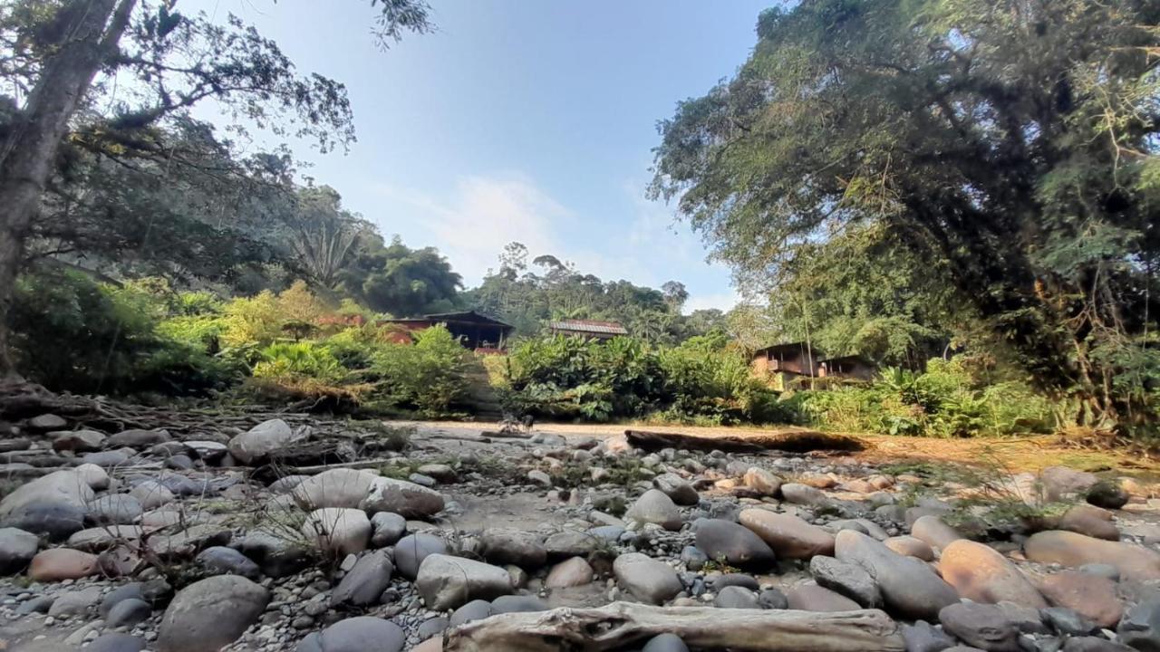 Playaselva Reserva Biologica Villa Archidona Buitenkant foto