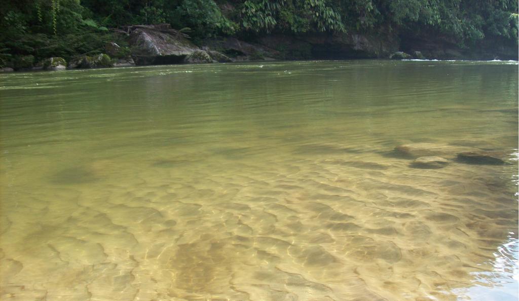 Playaselva Reserva Biologica Archidona Buitenkant foto