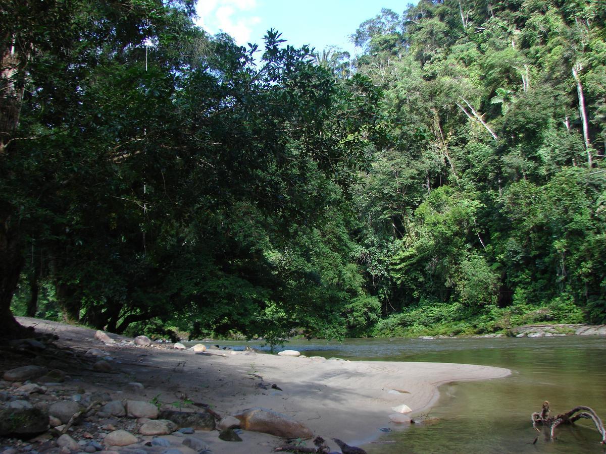 Playaselva Reserva Biologica Villa Archidona Buitenkant foto