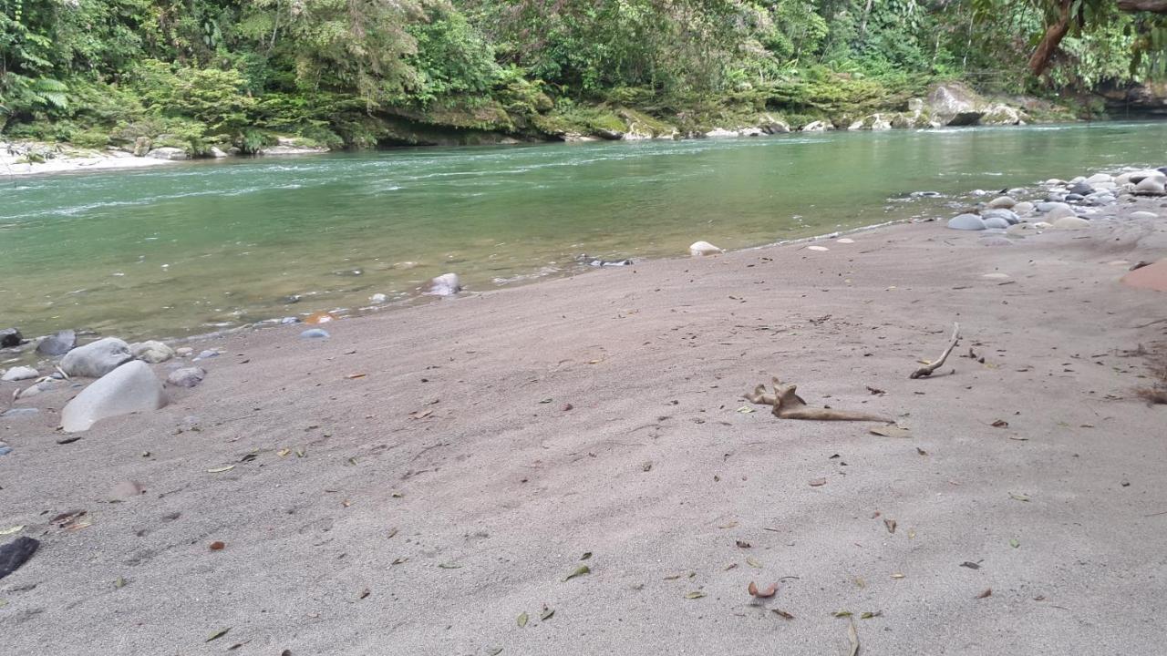 Playaselva Reserva Biologica Archidona Buitenkant foto